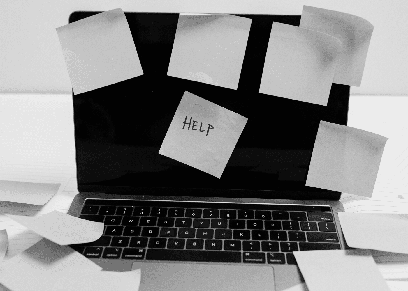 How Do Chargeback Prevention Alerts Work?